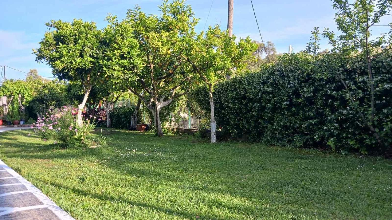 Villa Ioannidis Parga Exteriör bild